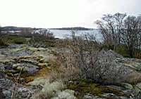 P5030029.jpg